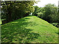 Old railway embankment in CV10 0PW