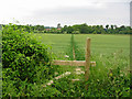 Footpath  Chalbury Dorset in BH21 5DE