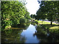 River Gade in Hemel Hempstead in HP2 5GY