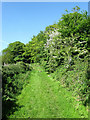 Footpath near Eckington Corner in BN8 6AT