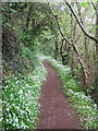 Bishop Walk footpath near Black Head in TQ1 2PW