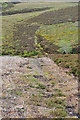 Path across the moorland near Ben Main in AB55 4DS