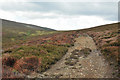 Hill track across the moorland on Ben Main in AB55 4DS