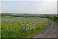Track to Gaysham Farm in TN16 2DU