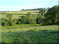 View near Holsome, Diptford in TQ9 7NH
