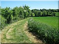 Footpath, Abbotts Ann in SP11 7AZ