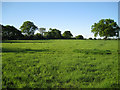 Grassland north of Table Oak Farm in CV8 1PX