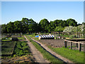 Allotments, Table Oak Lane in CV8 1PX