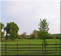 Fields near to Newstead in PE9 2BF