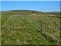 Moorland Fence on Hare Appletree Fell in LA2 9EQ