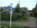 Towpath, National Cycle Network Signs and Bridge, Grand Union Canal in LU7 0DU