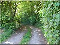 Footpath, Crux Easton in RG20 9QG