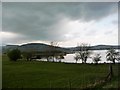 The southern end of Llyn Tegid / Bala Lake in LL23 7DB