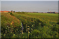 Roadside ditch with the Maltings and Mareham Farm to the rear - Sleaford in NG34 7FG