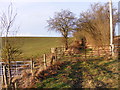Gated Path in WV15 5PN