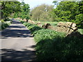 Perimeter stone wall around Great Tew Park in OX7 4JP