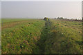 Ditch with hedge - Willoughby Gorse in Burton Pedwardine