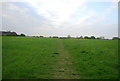 Footpath near High Barn Farm in TN11 9JT