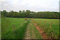 Footpath to Hilden Brook in TN11 9JT