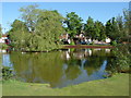 Pirbright Village pond in GU24 0LP
