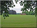 Sports ground Witchampton Dorset in BH21 5DR