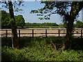 Fields near Flexford in GU12 6EA