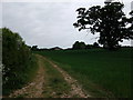 Footpath to Fernhill Farm from Rouncil Lane in CV8 1NN