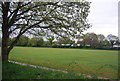 Recreation Ground, Cranleigh in GU6 8GE