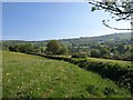 Field boundary above Old Ditch in BA5 1HP