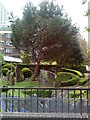 Gardens at the junction of Edgware Road and Sussex Gardens in NW1 5JY