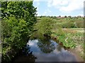 The River Tame [downstream] in OL5 9BT