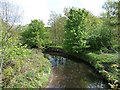The River Tame [upstream] in OL5 9BT