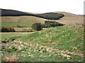 Plantations, Glen Shee in PH10 7QG