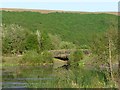 Footbridge, Parc Cwm Darran in Darran Valley Community