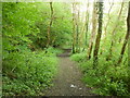 Woodland path at the southern edge of Glynneath in SA11 5BG