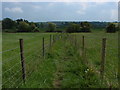 Footpath, Flexford in GU3 2JW