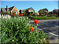 Village Centre, Braughing in SG11 2PG