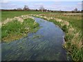 River Kennet, West Overton in SN8 1QD