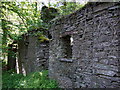Ruins in Cwm Ffrwd in SA43 3DG