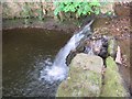 Waterfall in Lindwaysprings Brook in DE55 6DS