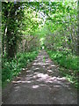 Footpath from the A257 in CT3 1TB