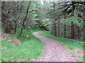 Track to Dun na Cuaiche in PA32 8XG