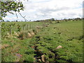 Minor tributary of Cockshaw Burn west of Breckon Hill in NE46 2BP
