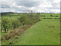 Pastures north of Blossom Hill in NE46 2BP