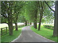 Driveway to Nolands Farm in CV35 0NZ