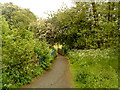 Path in Northfield Manor Farm Park in B31 1LD