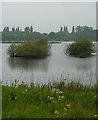 By the lake at the old gravel pits in DN22 7RB