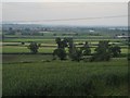 View over crops towards Bowerhill in SN15 2FQ