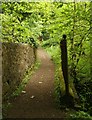 Footbridge Over Bothlin Burn in G69 0AN