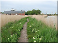 Narrow path alongside the River Alde in IP17 1SL